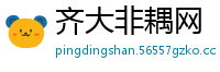 齐大非耦网